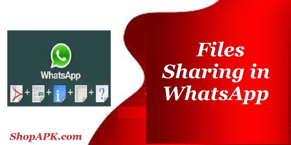 Files Sharing in WhatsApp