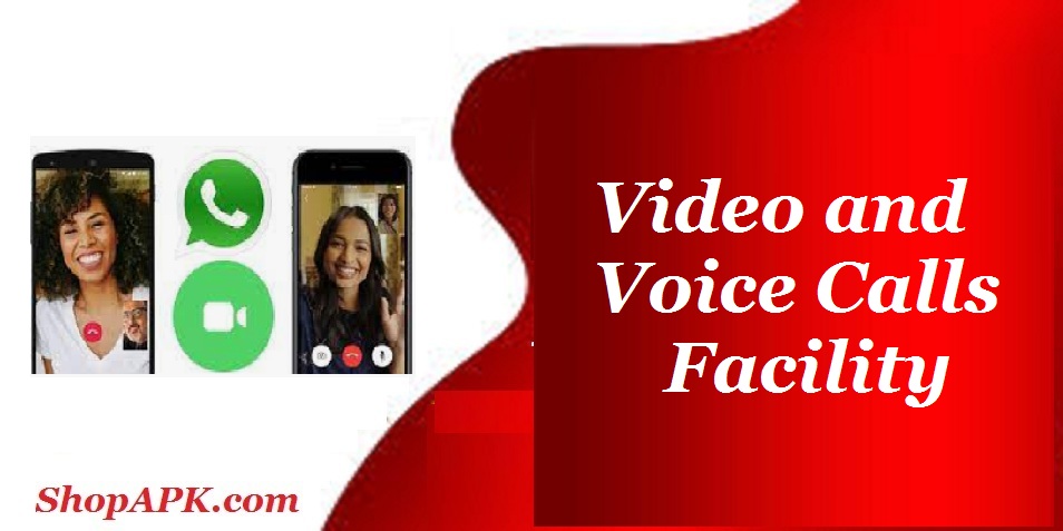 Video and Voice Calls Facility