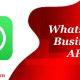WhatsApp Business APK icon