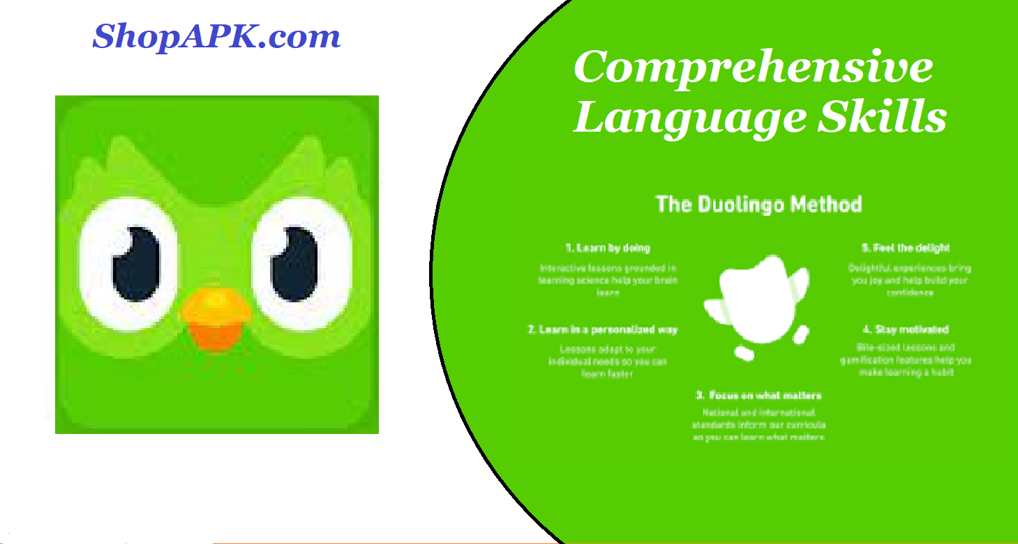 Comprehensive Language Skills