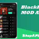 BlackHole MOD APK icon