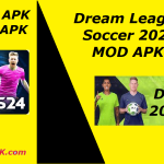 Dream League Soccer 2024 icon