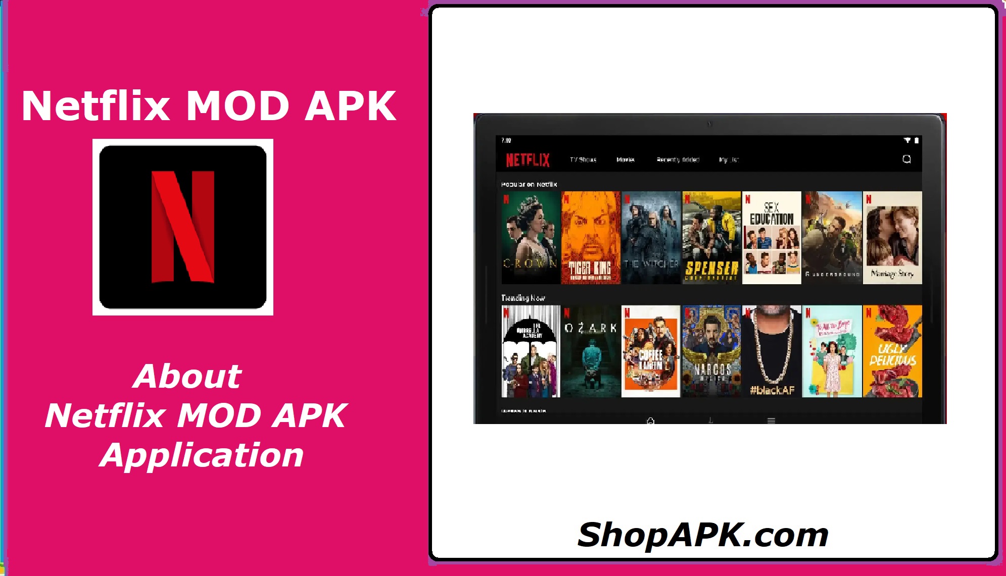 About Netflix MOD APK Application